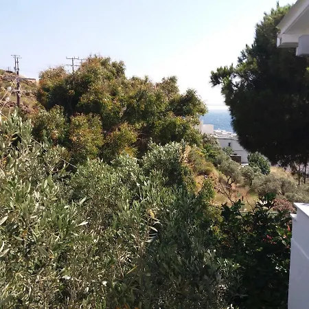 Grandpa Simos' Traditional Agios Romanos