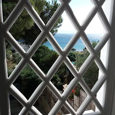 Grandpa Simos' Traditional Agios Romanos